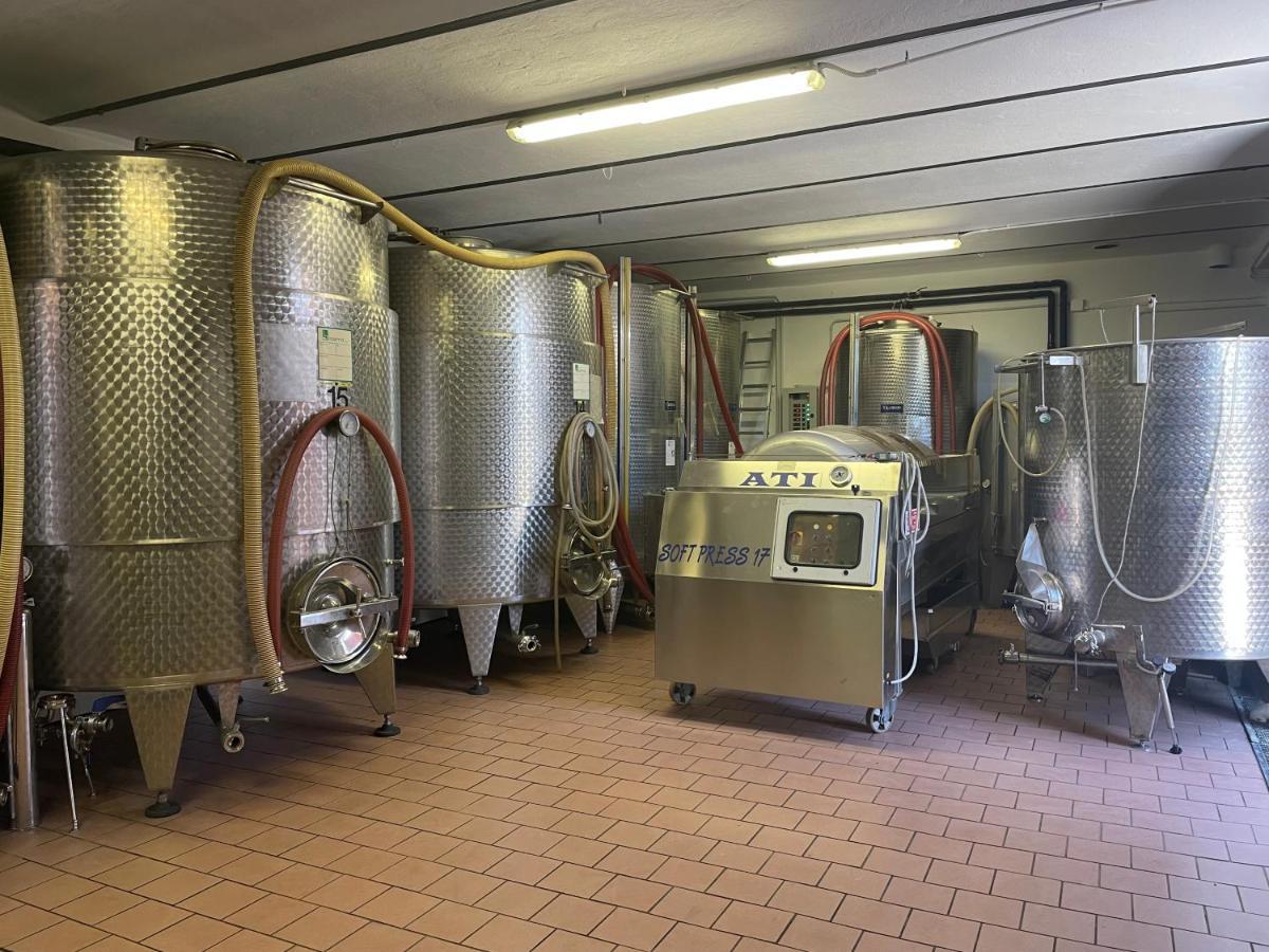 Agriturismo Finestre Di Langa Trezzo Tinella Kültér fotó
