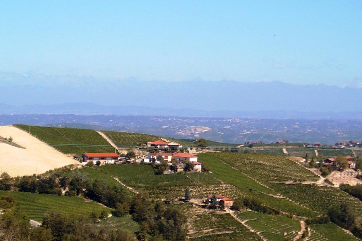 Agriturismo Finestre Di Langa Trezzo Tinella Kültér fotó