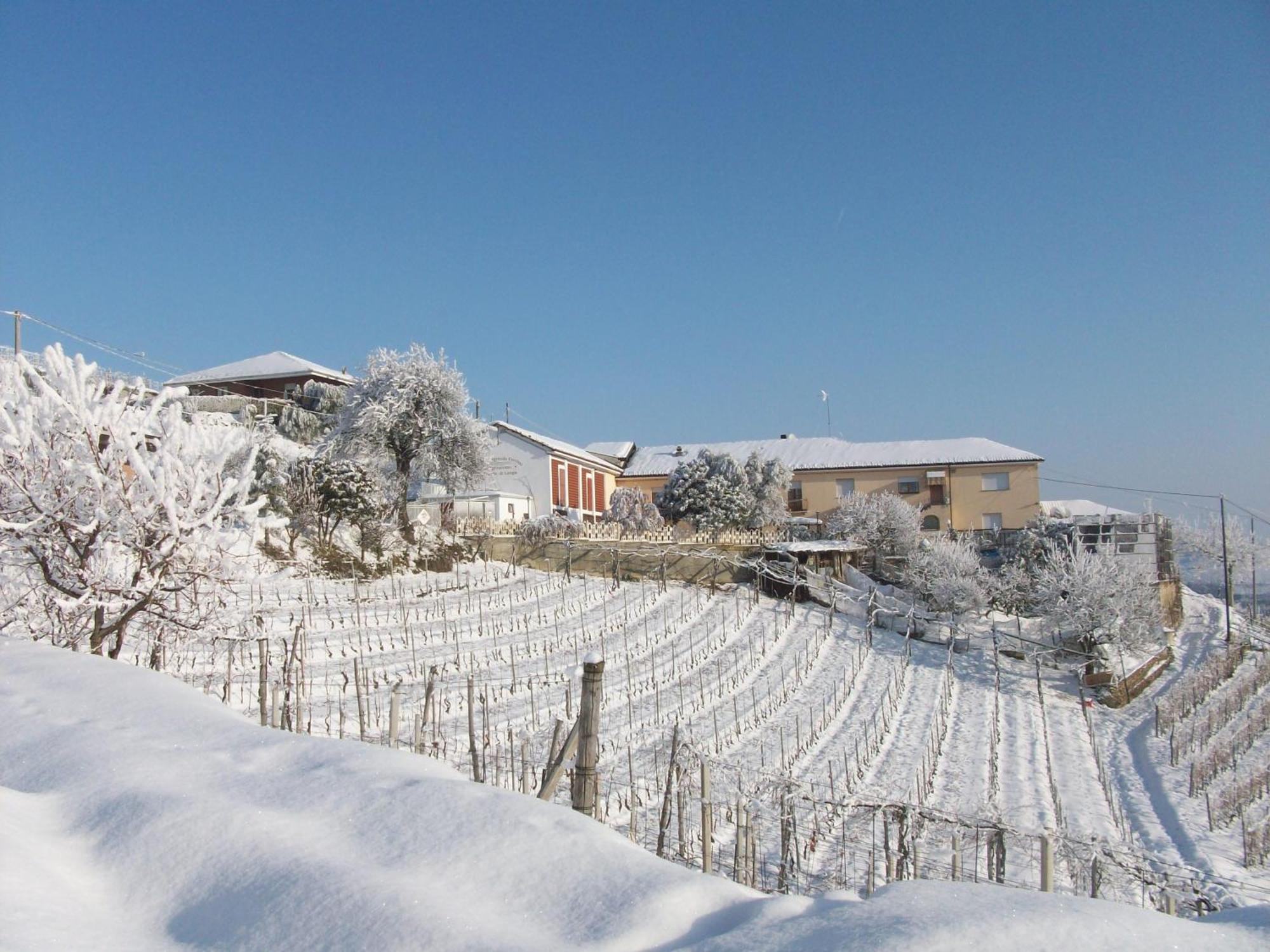 Agriturismo Finestre Di Langa Trezzo Tinella Kültér fotó